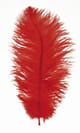 Strutsefjær - Rød - 30cm 1 stk