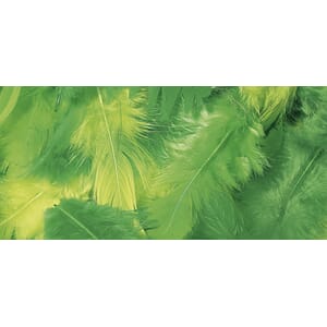 Fjær Mix pakke - Grønn farger, 3-10cm