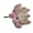 Dekor - Mini-Sukkulente Echeveria malve, 4x2.5 cm, 1/Pkg