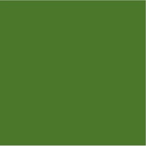 Bazzill: Canvas - Green Maze
