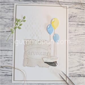 Gummiapan - Ballonger, str 24 x 86 mm
