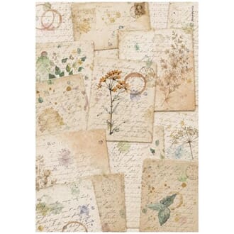 Stamperia - Flowers and Poems A4 Rice Paper Botanic Sheets