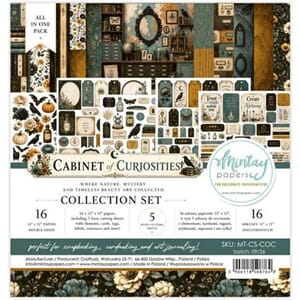 Mintay - Cabinet of Curiosities 12x12 Inch Collection Set