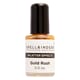 Spellbinders - Gold Rush Splatter Effects