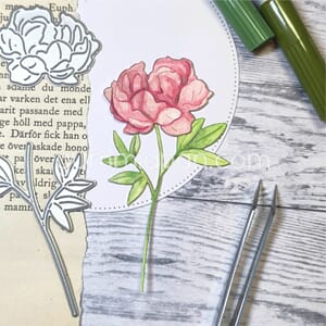 Gummiapan - Pion dies, str 53,5 x 89,5 mm