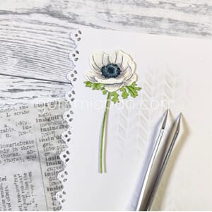 Gummiapan - Anemone, str 29 x 24,5 mm, 33,5 x 54,5 mm