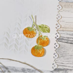 Gummiapan - Persimon, str 31,5 x 50,5 mm