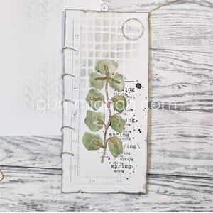 Gummiapan - Eucalyptus, str 34 x 80,5 mm