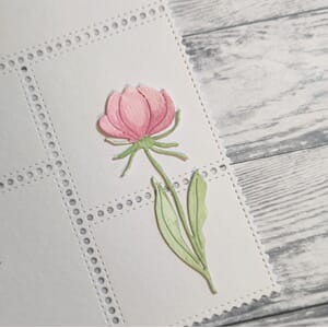 Gummiapan - Malva / kattblomst, str 27 x 74,5 mm