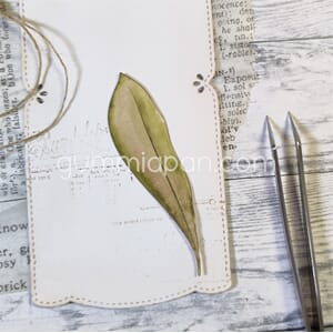 Gummiapan - Bladlinje, str 22,5 x 72 mm