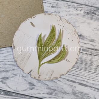 Gummiapan - Pion blad, høyre, str 27 x 50,5 mm