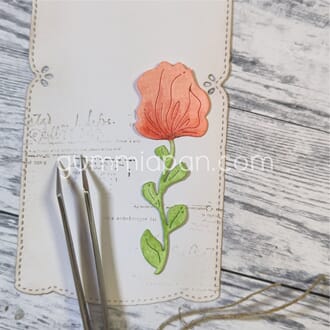 Gummiapan - Campanula, str 23,5 x 68 mm