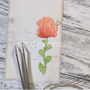 Gummiapan - Campanula, str 23,5 x 68 mm