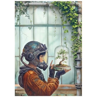 Stamperia - A New Beginning A4 Rice Paper Terrarium