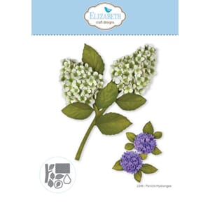 Elizabeth Craft - Beautiful Blooms Die Panicle Hydrangea