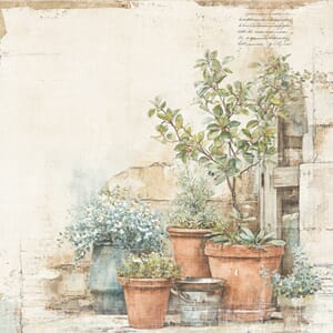 Reprint: The Pottery - The Pottery