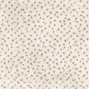 Reprint: The Pottery - The Pottery