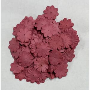 Reprint - Raspberry paprblomster, mini, str 20 mm, 100 stk