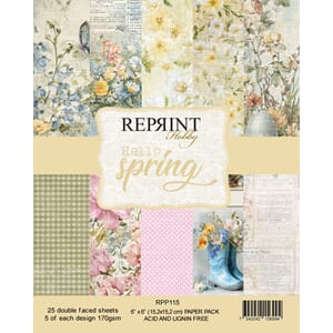 Reprint - Hello Spring 6x6 Inch Paper Pack