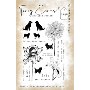 Tracy Evans - Beauty Surrounds Us A5 Stamp