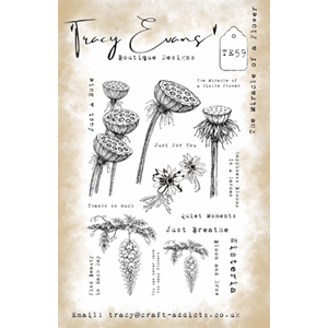 Tracy Evans - The Miracle Of A Flower A5 Stamp
