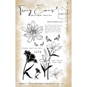 Tracy Evans - Good Things Take Time A5 Stamp