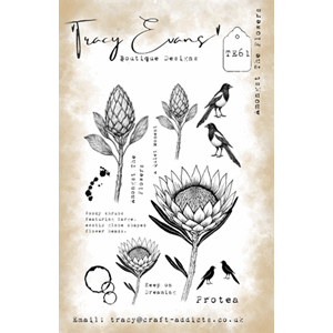 Tracy Evans - Amongst The Flowers A5 Stamp