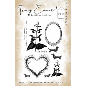 Tracy Evans - Framed Delights A5 Stamp