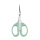 Precision Scissors with Plastic Handle