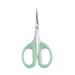 Precision Scissors with Plastic Handle