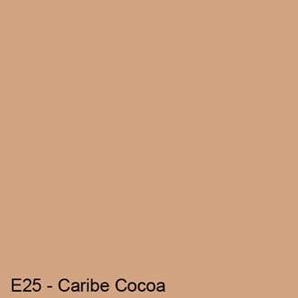 Copics Sketch - CARIBE COCOA