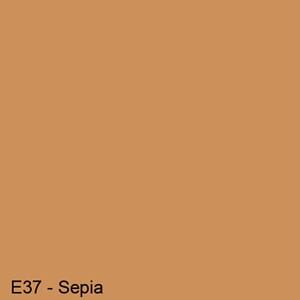 Copics Sketch - SEPIA