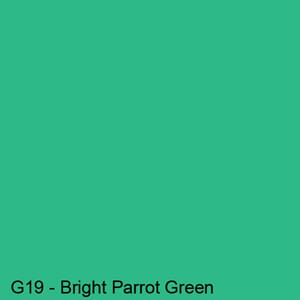 Copics Sketch - BRIGHT PARROT GREEN