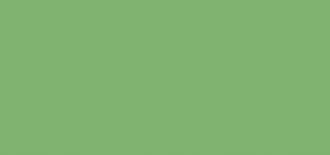 VersaColor - Fresh Green 22  Ink Pad