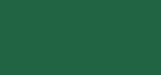 VersaColor - Winter Green 160  Ink Pad