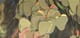 3924406_FA_#SALL_#AOF_#V1