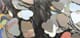 3924422_FA_#SALL_#AOF_#V1