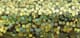 39422620_FA_#SALL_#AOF_#V1