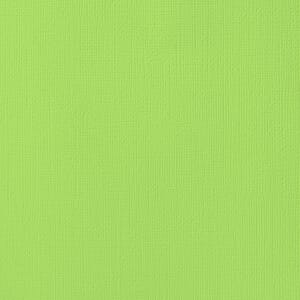 American Craft: Key Lime - Textured Cardstock