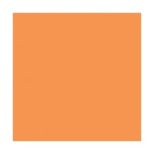 American Craft: Goldfish - Textured Cardstock