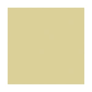 American Craft: Sage - Textured Cardstock