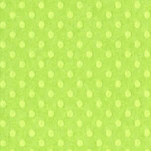 Bazzill: Dotted Swiss - Irish Eyes