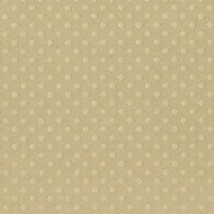 Bazzill: Dotted Swiss - Rope Swing