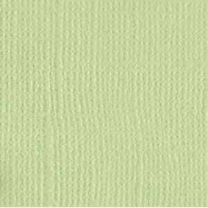 Bazzill: Canvas - Aloe Vera