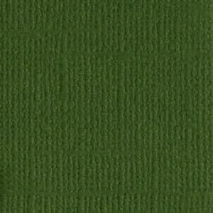 Bazzill: Canvas - Ivy