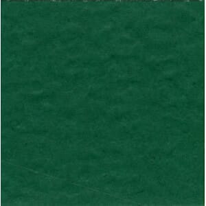 Bazzill: Prismatic - Classic Green