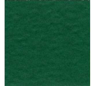 Bazzill: Prismatic - Classic Green