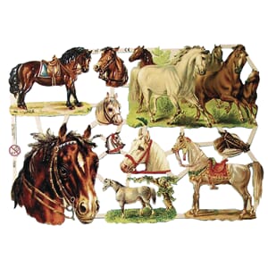 Glansbilder - Hester 17x24 cm, 1 ark