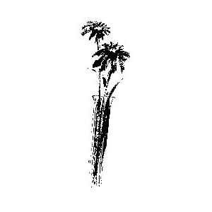 Penny Black: Rubber Stamp - Painter's Vase