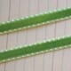 Maya Road: Leaf Green - Double Stitched Velvet Ribbon